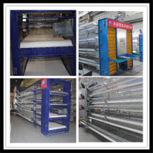 Automatic Layer Cage System